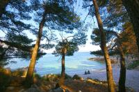 Apartment Ornela - B&B