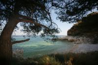 Apartment Ornela - B&B Ravni