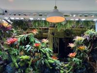 Dốc Garden Homestay Đà Lạt - B&B Da Lat