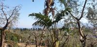 Doppelzimmer mit Gartenblick