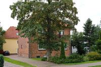 Waldstraße 9 Wohnung 01 - B&B Ostseebad Kühlungsborn