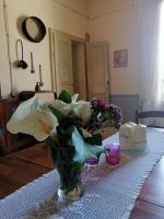 Bed and Breakfast Evelina - Ferienwohnung Lucca