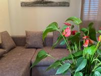 B&B Trogir - Studio Apartment Dona - Bed and Breakfast Trogir