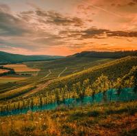 Ferienwohnung Moselmomente - Ferienwohnung Lieser