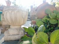 Aracenilla 7 - B&B Aracena