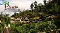 AMUNTAI RAINFOREST LODGE - B&B Palora