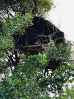 Jungle Tree Hut Anuradhapura Sri Lanka - B&B Anurādhapura