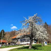 Schatzbergalm Pension - B&B
