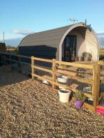 Heated Supersize Glamping Pod with ensuite bathroom, Wilburton, Nr Ely, Cambs - B&B