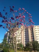 Apartamento Ecologic Park Caldas Novas - Ferienwohnung