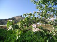 Casa Rural La Serrana de Aracena - Chambres d’hôtes