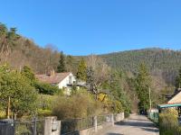 Ferienhaus Pfälzer Wald Weyher - B&B Weyher