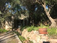 le paradis des oiseaux - B&B