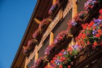 MOUNTAIN RESIDENCE ALPENHOF - company Hotel Alpenhof KG sas der Gasser Renate - Chambres d'hôtes Bressanone