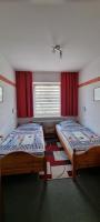One-Bedroom Apartment with Sofa Bed