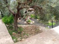 Casa vacanze l'ulivo - B&B Maracalagonis