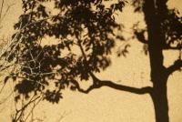 OldbutNew 蔵 - Bed and Breakfast Hara