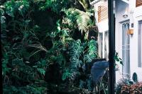 Camera King con Vista Giardino