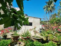 Katie's homestay - Bed and Breakfast