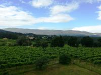Apartment with Garden View