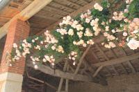 Chambres d'Hôtes Le Val de la Garenne - B&B Senouillac