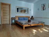 Appartamento con 1 Camera da Letto