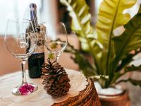 Pousada Viver a Pedra - B&B Gonçalves