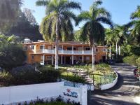 The Blue Orchid B&B - B&B