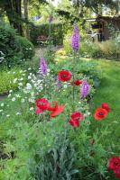 Appartement met uitzicht op de tuin