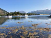 The Fox's Den, Luxury Cosy Mini Lodge, Highlands - Ferienwohnung