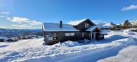 Wonderful cabin with amazing mountain - view - Bed and Breakfast Lyefjell