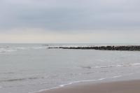 Gîte Les Mouettes - B&B Verton