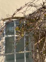 Feriehus i skøn natur - B&B Stenstrup