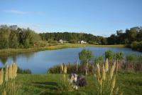 Endymion Lodge - Ferienwohnung Colchester