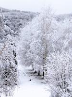 Haus mit 3 Schlafzimmern