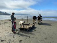 La Casa del Humedal - Chambres d’hôtes Castro