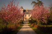 CHATEAU DE MONFREVILLE - Chambres d’hôtes Monfréville