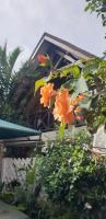 The Annex at 64 : Cozy, rustic cottage/treehouse - B&B Nairobi