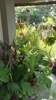 New Garden View GF Double Room FREE parking - Bed and Breakfast Batu Unjor