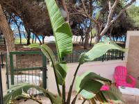 FRONTE PINETA MARE RIVABELLA - Bed and Breakfast Rivabella