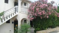 Apartments MINT Povljana - 50m from sandy beach - B&B Povljana