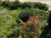 Sotto la luna Casa in campagna - B&B Castel Bolognese