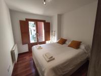 El floc de Neu - Camprodon - B&B Camprodon