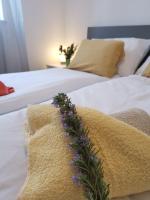 Appartement met 1 Slaapkamer