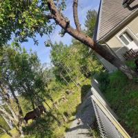Rustic Retreat Lake Casa Mountain Sanctuary,Roşia Montana - B&B Roșia Montană