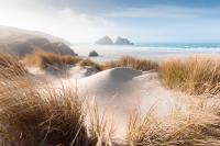 Pollymoor Beach House - B&B