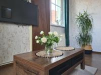 B&B Bolesławiec - Apartament w Rynku For You - Bed and Breakfast Bolesławiec