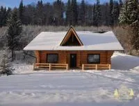 Wild tree house - B&B Vărşag