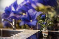 Apartamento con balcón