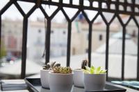 BUBUFLATS Mossén - Chambres d’hôtes Valence